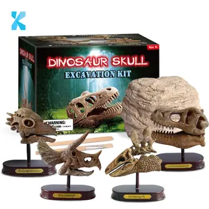 High Quality Dinosaur Skull Excavation Kit Dino Dig Up Kit Head Skeleton Decor Archaeology Science Gift Educational Toy for Kids