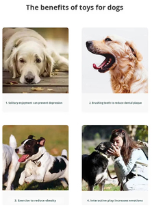 Jouet à mâcher pour chien innovant en forme de trépied, en matériau PA, sûr et non toxique, pour le nettoyage des dents et le massage des gencives - Product Image 6