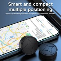 Vente directe d'usine, traceur GPS miniature pour animaux de compagnie, suivi en temps réel, anti-perte intelligent, métal, étanche IP68, GPS 4G pour voiture