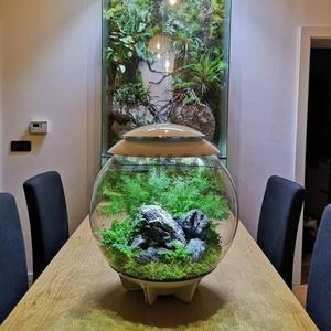 Taman Pemandangan keras rumah Bonsai batu Seiryu batu - Product Image 2