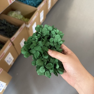 <span class=keywords><strong>Foglie</strong></span> di rami di eucalipto Bouquet foglia pianta verde per la festa nuziale decorazione della tavola floreale - Product Image 3