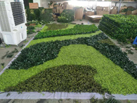 Panneaux muraux d'herbe artificielle Panneau d'herbe suspendu Panneau mural d'extérieur Plante verte artificielle d'ingénierie murale