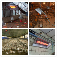 Équipement d'élevage avicole, lampe radiante au gaz, chauffages infrarouges, couveuses pour poussins d'élevage