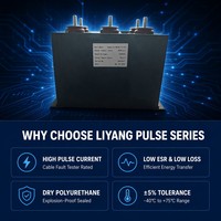 Condensateur à film polypropylène métallisé Liyang 2200VDC 900μF à décharge haute énergie pour testeur de défauts de câble