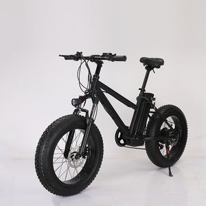Source Factory FRIKE 20inch Fat Tire <b>Electric</b> Bicycle Ebike <b>Electric</b> <b>Bike</b> Easy Carry Mountain Fat Tire <b>Bike</b> <b>Electric</b> 1000 w - Product Image 1