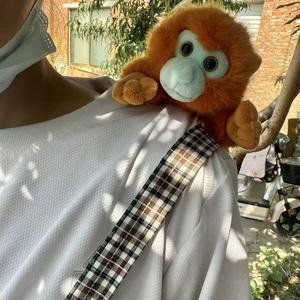 Bambola Magnetica Jiu Shoulder, Simpatica Bambola da Piegare sullo Spalla, Peluche a Forma di Uccellino Grasso Xuan Feng Shan Que - Product Image 4