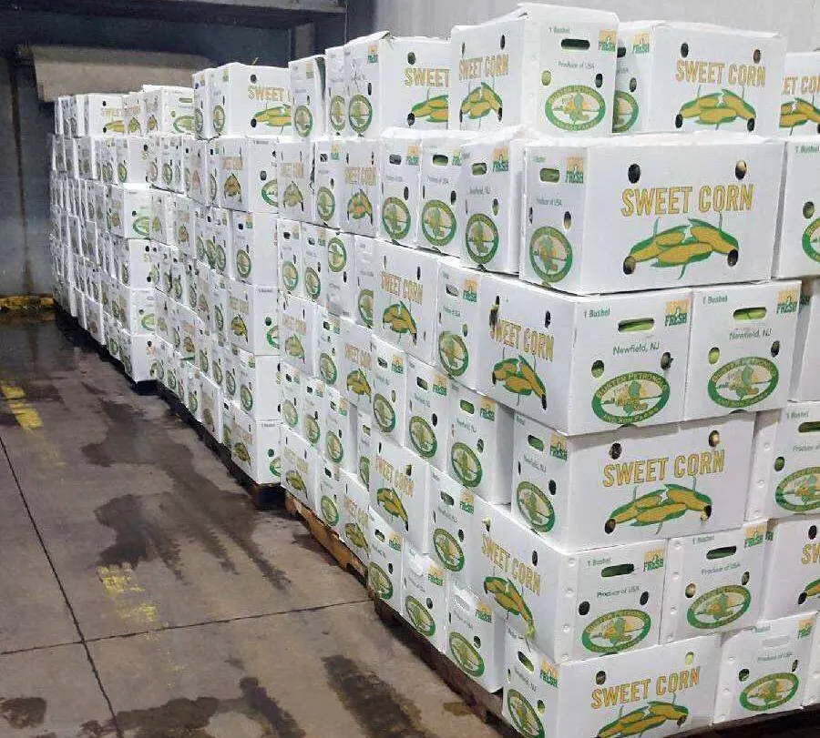 Nhà Máy Giá Ngô container và Bông Cải Xanh hộp rau hộp và rau bao bì nhựa hộp và caja de plastico