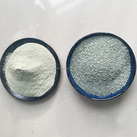 Poudre et granulés de zéolite clinoptilolite naturelle de qualité alimentaire Jinshi 0,5-1 mm pour additif alimentaire animal, traitement et filtration de l'eau