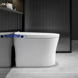 Toilettes intelligentes en céramique montées au sol haut de gamme avec fonction de nettoyage à chasse d'eau monobloc
