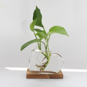 <span class=keywords><strong>Vaso</strong></span> Creativo <span class=keywords><strong>a</strong></span> Forma di <span class=keywords><strong>Cuore</strong></span> in Vetro Borosilicato Trasparente con Base in Legno per Propagazione Idroponica e Decorazione Domestica - Product Image 6