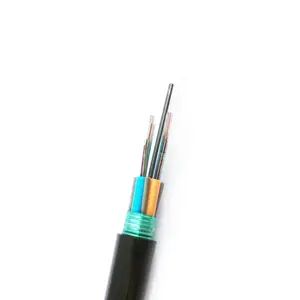 Fibre Drop Cable 24 ~384 Cores Stranded Layer Armored Ribbon Fiber Optic Cable GYDTA