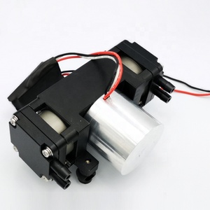 DC Dual sin escobillas Motor de aire pequeño/bombas de Gas 24 V de vacío de diafragma de toro de la bomba - Product Image 1