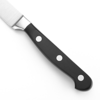 Compact 3,5 inch roestvrijstalen fruitmes met ergonomische zwarte POM-handgreep voor het schillen en snijden van fruit en groenten in de keuken.