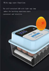 Teste de Ovoscopia Para Ovos Não Fertilizados e Fertilizados (Galo) 88, Luz de Ovoscopia para Incubadoras e Máquinas de Chocagem - Product Image 6