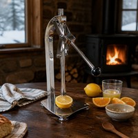 Presse-agrumes manuel en acier inoxydable, presse-agrumes robuste pour citrons et limes, presse-agrumes manuel pour fruits, pour la maison et la cuisine