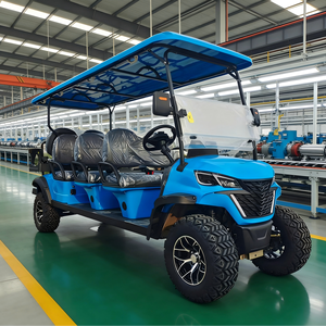 Carrito de Golf Eléctrico Personalizado con Plataforma Elevada para Carga, Nuevo, para 2 Pasajeros, con Caja de Carga - Product Image 5