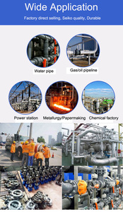 ANSI CLASS150/300 Thép Không Gỉ Dẻo Đúc Sắt Mặt Bích/Kẹp/Mông Hàn/Ổ Cắm Hàn/Chủ Đề Thủy Lực Swing Check Valve - Product Image 6