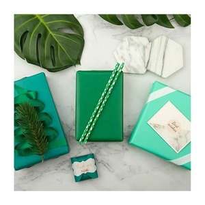Rollo de Papel de Embalaje de Grado Alimenticio, Ecológico, Reciclable, Recubierto de PE, Impermeable por Ambos Lados, Impresión Digital, Color Verde Menta, Venta al Por Mayor - Product Image 4