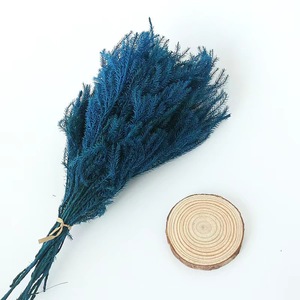 Ide produk baru 2023 lumut klub bunga yang diawetkan untuk semua jenis dekorasi Festival klub lumut - Product Image 3