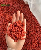 EU-standaard gedroogde wolfberry vruchten OEM-service laboratorium getest superfood ingrediënt hoge anthocyanen gecertificeerde plant
