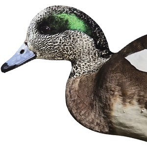 Señuelo de Caza de Patos con Serigrafía UV Ecológico y Reciclable, Silueta de <span class=keywords><strong>Pato</strong></span> - Product Image 3