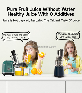 LUFVEBUT Commercial Multi-function 2-in-1 3-in-1 One-stop Kitchen Appliance Korea Slow Juicer Extractor with Coffee Grinding - Product Image 3