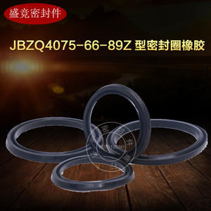 Anillo de Sellado de Goma Tipo Z Jbzq4075-66-89Z para Cilindro, Resistente a la Corrosión, Pieza Estándar - Product Image 2