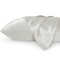 Taie d'oreiller en Satin de refroidissement populaire, pour les cheveux et la peau, taie d'oreiller en soie de taille Queen, ensemble cadeau, vente en gros