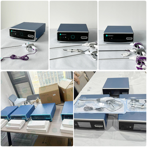 Ligasure เครื่องผลิต Ls10ซีลภาชนะบรรจุอาหารสำหรับสัตว์เลี้ยง - Product Image 4