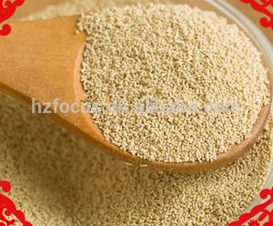 Hot bán OEM cấp thực phẩm bánh nướng bột đường thấp/Đường cao <span class=keywords><strong>5kg</strong></span> gói lớn ngay lập tức Men khô - Product Image 2