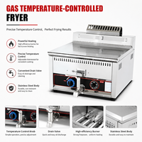Friteuse professionnelle à gaz en acier inoxydable à cuve unique pour comptoir, équipement de cuisson pour restaurants et restauration rapide