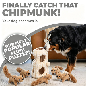 Jouet interactif Pawise pour animaux de compagnie : <span class=keywords><strong>Puzzle</strong></span> cachette pour <span class=keywords><strong>chien</strong></span>, jeu de labyrinthe pour l'auto-entretenissement et l'entraînement du QI (chipmunk, abeille, moufette) - Product Image 3