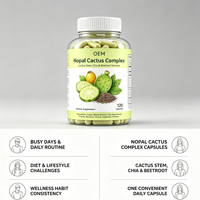Capsules de Complexe de Cactus Nopal en Gros OEM, Marque Privée, 120 Comprimés, Complément Alimentaire