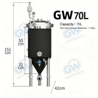 Équipement de brassage à domicile, micro-brasserie, capacité 30L-70L, système de brassage tout-grain avec réservoir sous pression et moteur pour la bière