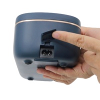 Mini-cuiseur à riz électrique Sorge 900 ml, boîte à lunch, chauffage automatique, cuve intérieure en acier inoxydable, chauffe-plat portable en plastique