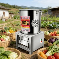 Automatische commerciële groente- en aardappelknijper van roestvrij staal, compatibel met 110V/220V