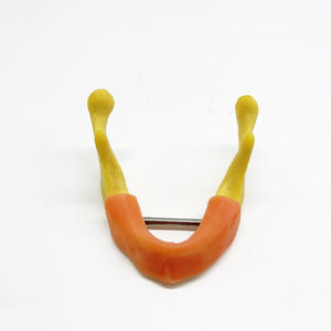Modelo de ejercicio de implante mandibular dental para entrenamiento Práctica de perforación de sutura de incisión de conexión de hueso de mentón oral - Product Image 1