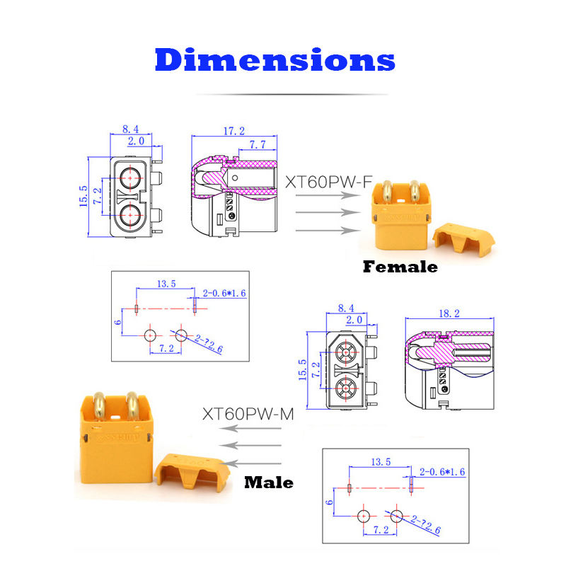 XT60PW-M | Mâle | Jaune