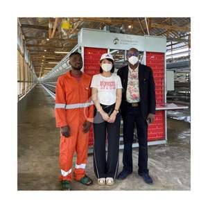 Attrezzatura automatica per gabbia di pollo H gabbia a 4 livelli per allevamento di polli 40,000 - Product Image 6