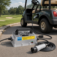 Cargador de Batería Inteligente LiFePO4 de 5S 18.25V 20A para Batería Auxiliar de 12V para Embarcaciones y Autocaravanas, Equipo Personalizado, Suministro de Fábrica OEM