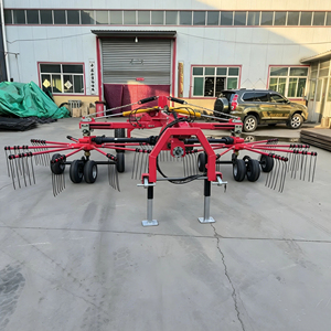 Machine à grattier le foin rotative à <span class=keywords><strong>double</strong></span> disque, attache tracteur, entraînement par prise de force, haute productivité, occasion - Product Image 5