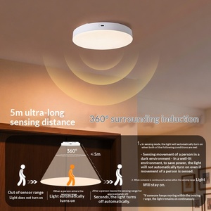 Wholesale Modern 5V <b>Motion</b> <b>Sensor</b> Cabinet <b>Light</b> USB Rechargeable LED Closet <b>Light</b> Bulk Order - Product Image 5