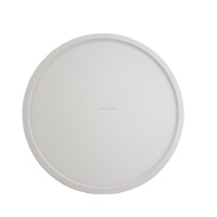 Plafonniers LED modernes de haute qualité 18W, 9 pouces, pour chambre à coucher, montage en surface, 5CCT, OEM, plastique, IP44