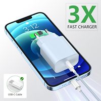 Pengisi Daya Cepat USB-C 20W Universal Super Charger Kit untuk Ponsel |   Adaptor PD 20W dengan Perlindungan Keamanan |   Solusi Perjalanan Ringkas