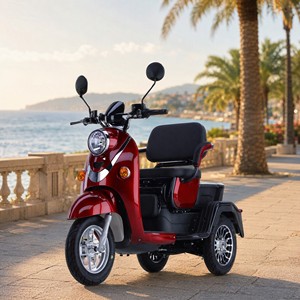 Vente directe usine – Nouveau tricycle passager élégant et personnalisable à cadre en acier, scooter électrique à trois roues et moto de rue - Product Image 5