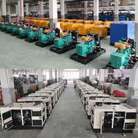 Groupe électrogène diesel portable 10,8 kW 12,8 kW 16 kW - Moteur Ricardo, alternateur ASG, prix avantageux pour la maison et la construction de secours