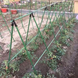 Kunststoffbeschichtetes Stahlrohr PE Pflanzenklettergerüst Leiterstange Bohnen-Gurken-Klettergestell Garten - Product Image 2