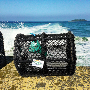 耐久性のあるニット押出ヘビーデューティアンチバードメッシュUv安定化HDPE PP <span class=keywords><strong>PE</strong></span>ナイロンバードミストプルーフ捕獲ネットカットツーサイズ - Product Image 1