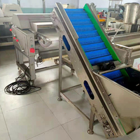 Machine automatique d'épluchage de la peau de poulet, prix d'usine