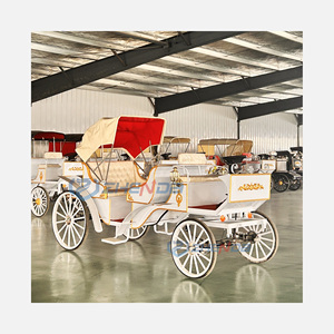Calèche électrique de haute qualité pour visites touristiques, conçue pour le confort et la fiabilité lors des excursions, à vendre - Product Image 4